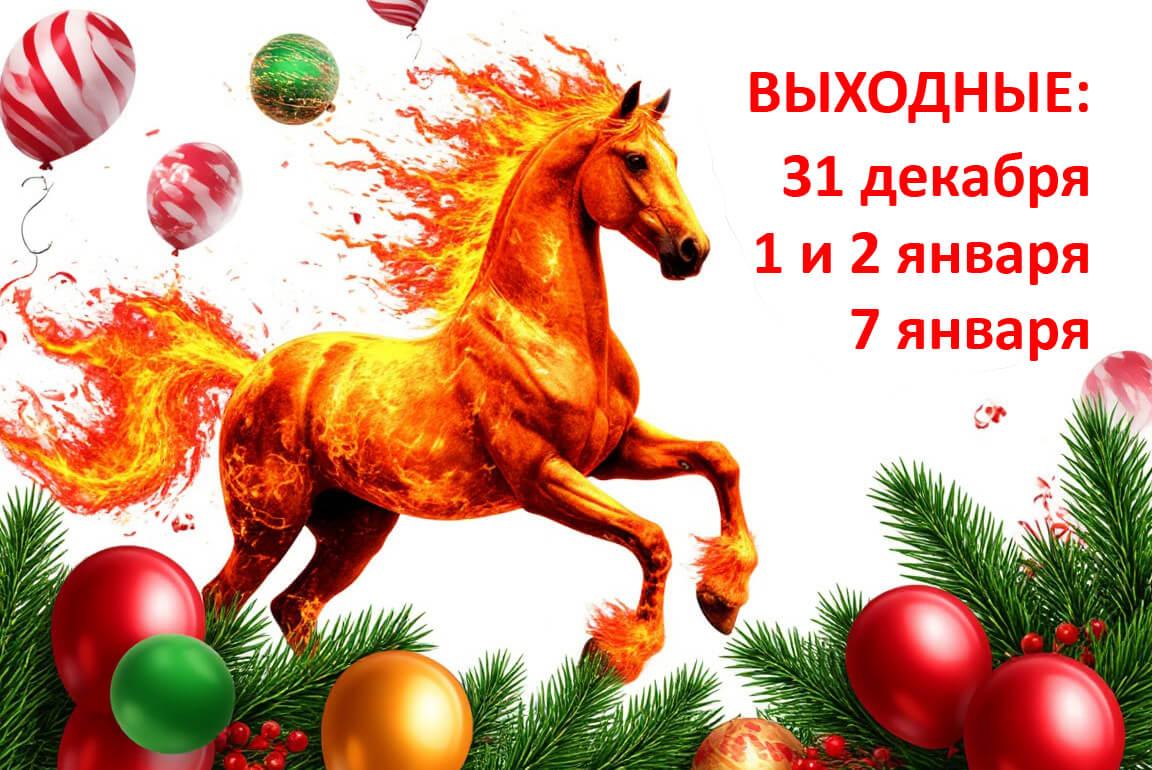 Режим работы клиники в новогодние праздники! Ждем Вас в новом 2026 году!